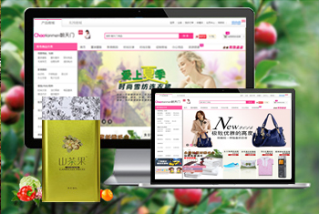 ���س������̳�