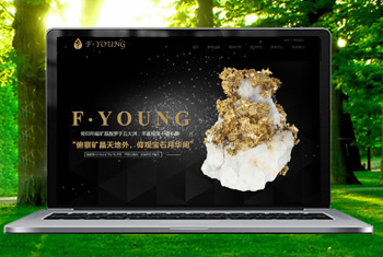 ���ظ������ﱦʯ